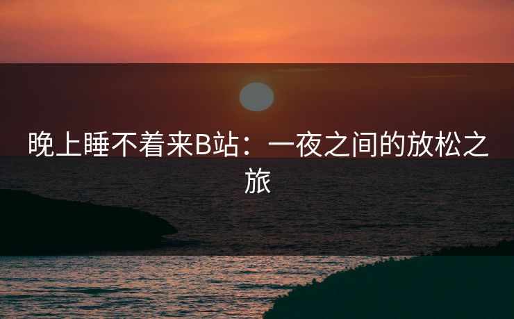 晚上睡不着来B站：一夜之间的放松之旅