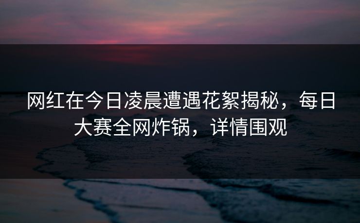 网红在今日凌晨遭遇花絮揭秘，每日大赛全网炸锅，详情围观